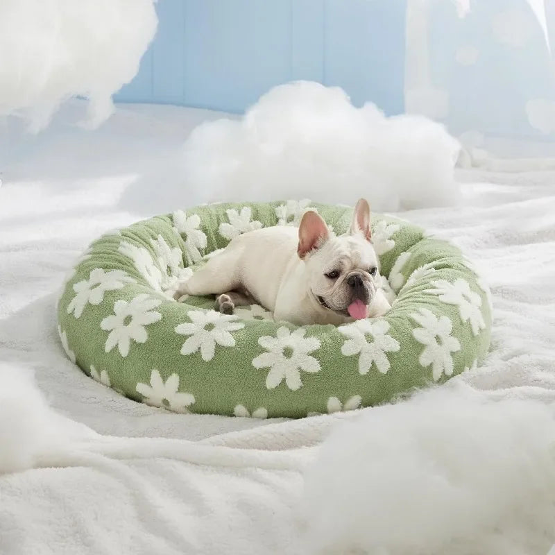 Lesure Donut Small Dog Bed - Round Cat Beds for Indoor Cats Calming Pet Beds, Cute Modern Beds