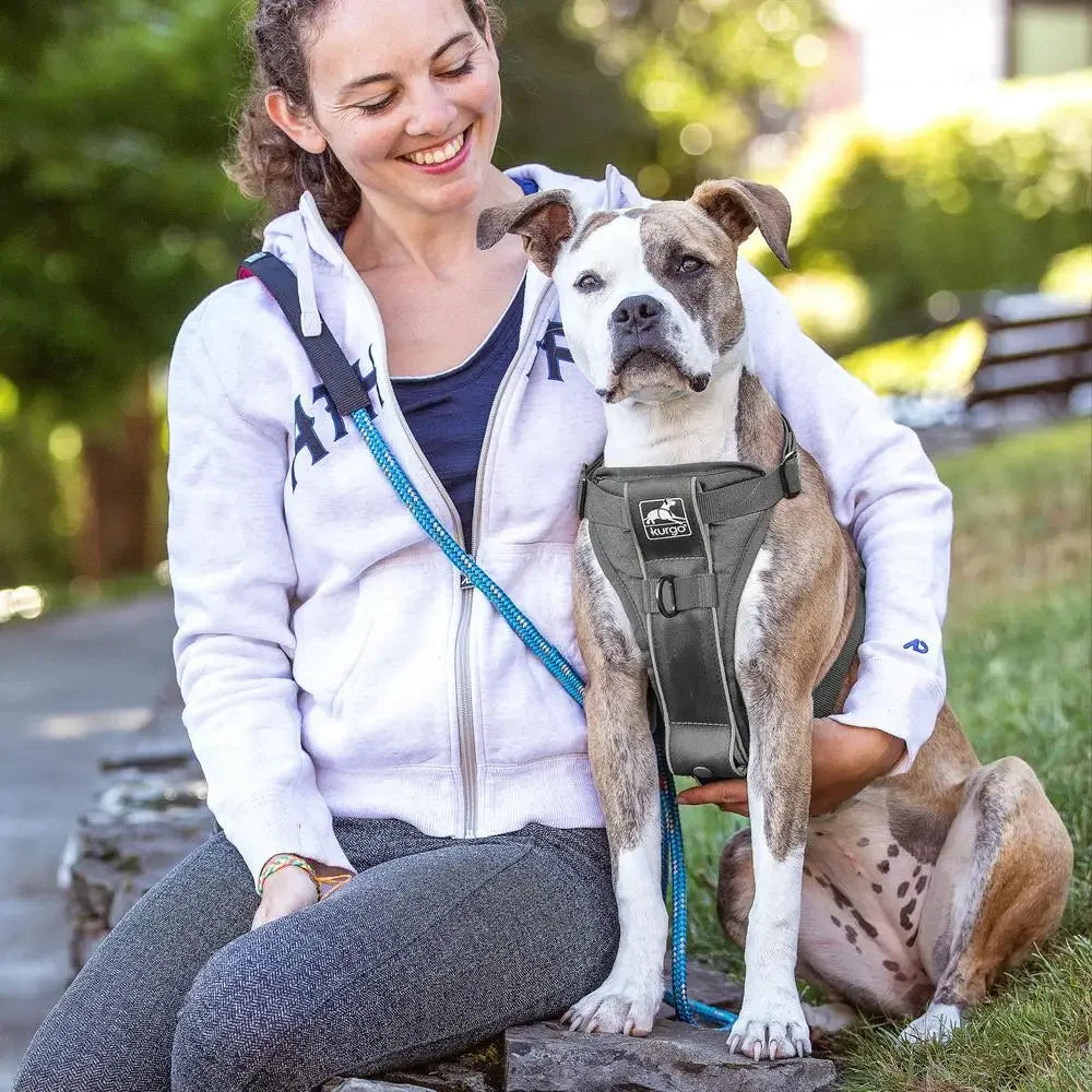 Smart Harness Dog Walking Pet Training Quick Release Buckles D-Ring No Pull Front Back Leash Attachments Seat Belt Car Restraint