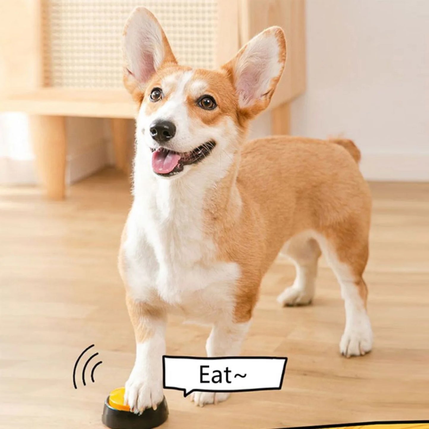 Recordable Answer Buzzers Personalized Sound Buzzer Button Talking Starter Set  Interactive Answering Dog Training Toy