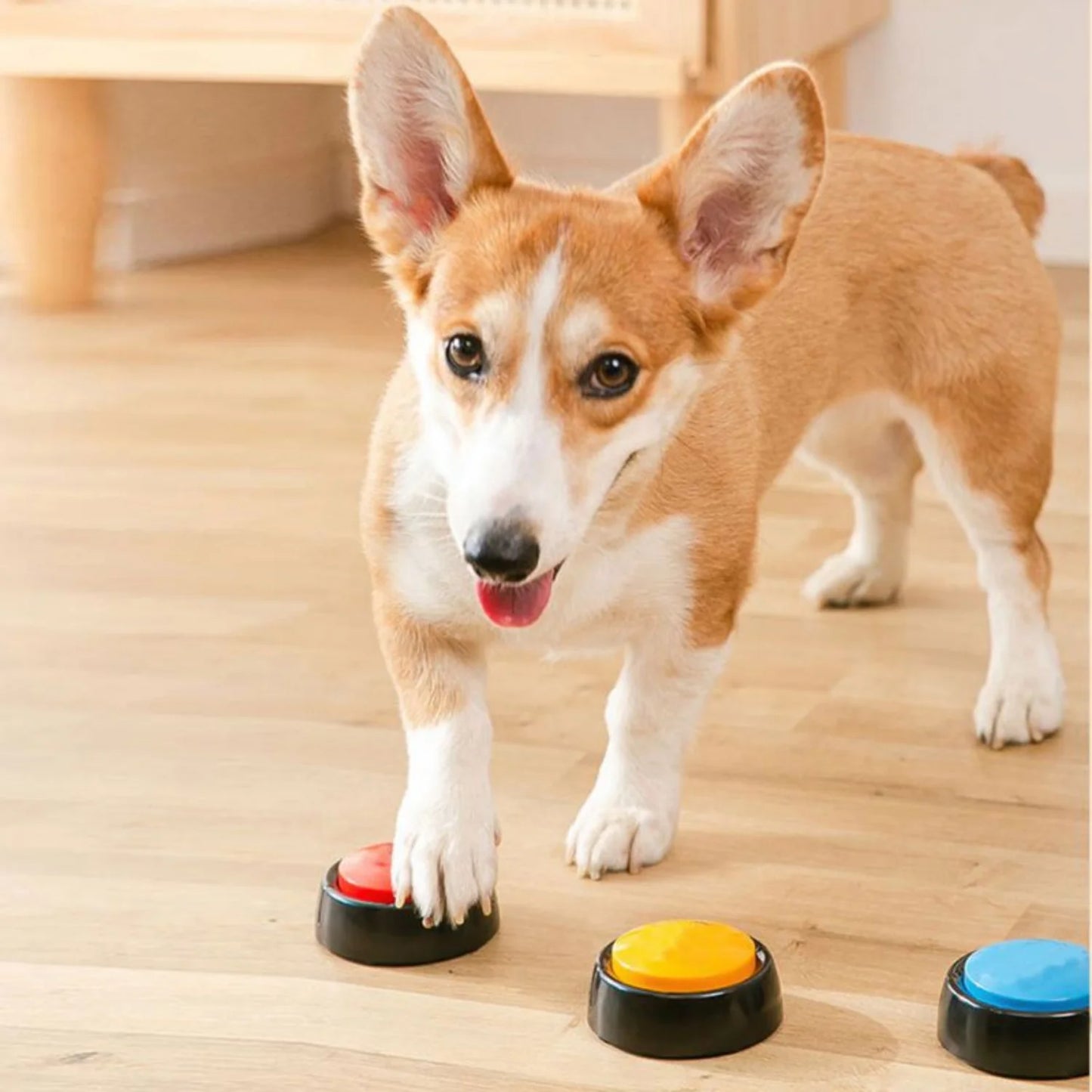 Recordable Answer Buzzers Personalized Sound Buzzer Button Talking Starter Set  Interactive Answering Dog Training Toy