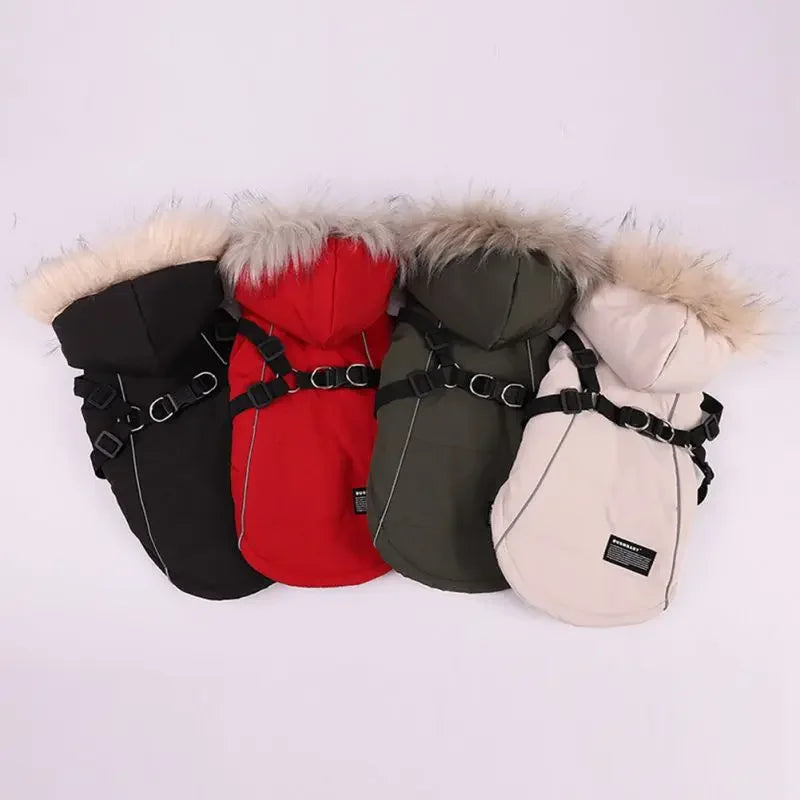 Fleece Lining Dog Hoodie with Harness Built in Warm Small Dog Jacket in Winter Puppy Coats with Hooded for Small Medium Dogs