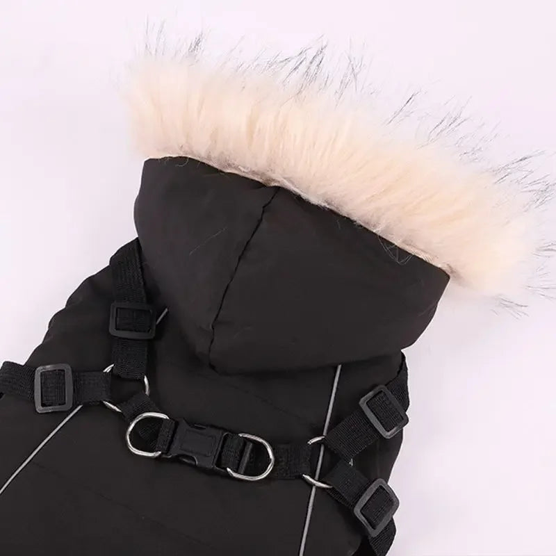 Fleece Lining Dog Hoodie with Harness Built in Warm Small Dog Jacket in Winter Puppy Coats with Hooded for Small Medium Dogs