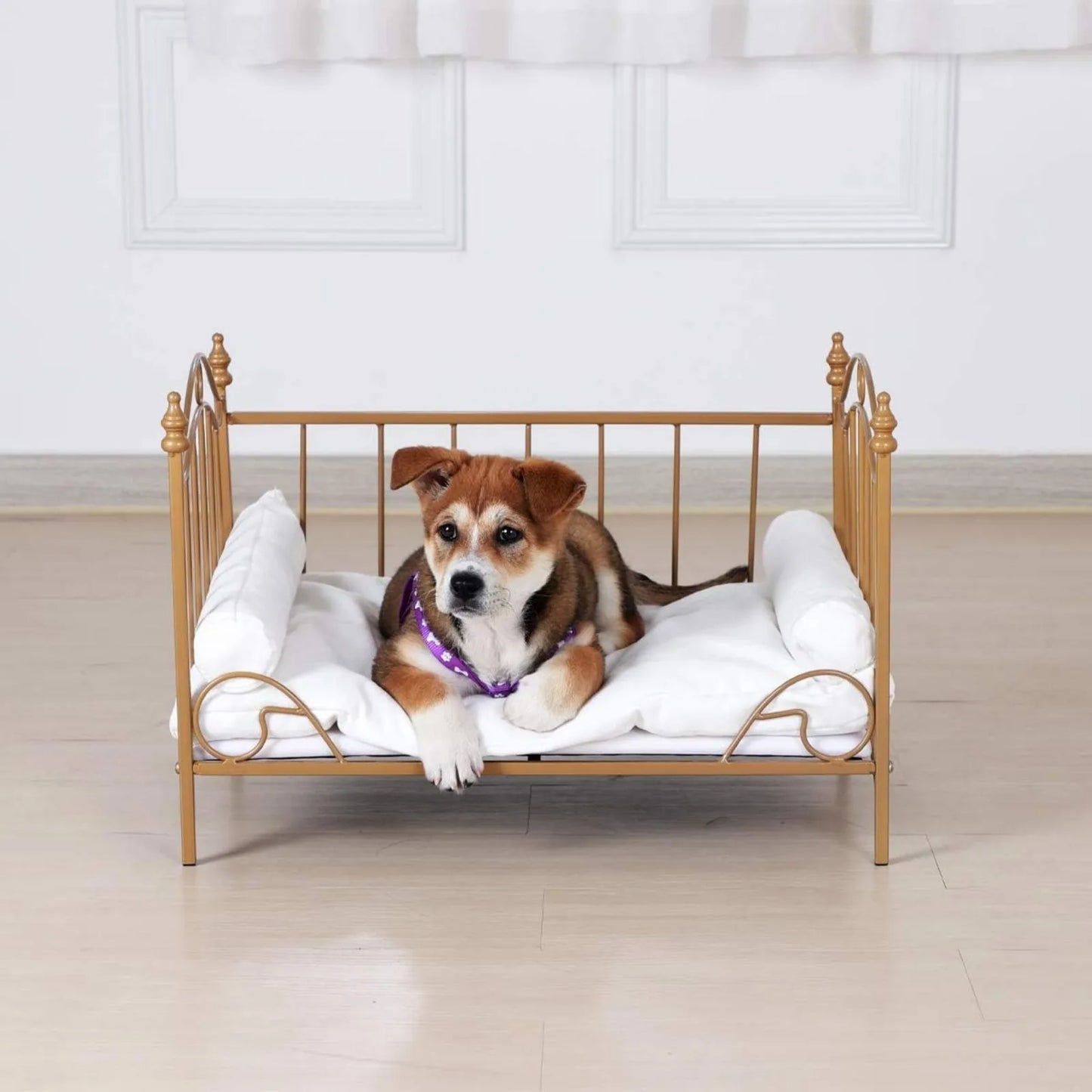 US Pet Bed, Dog Bed with Metal Frame and Detached White Velvet Cushion with 2 Pillow for Small Dog