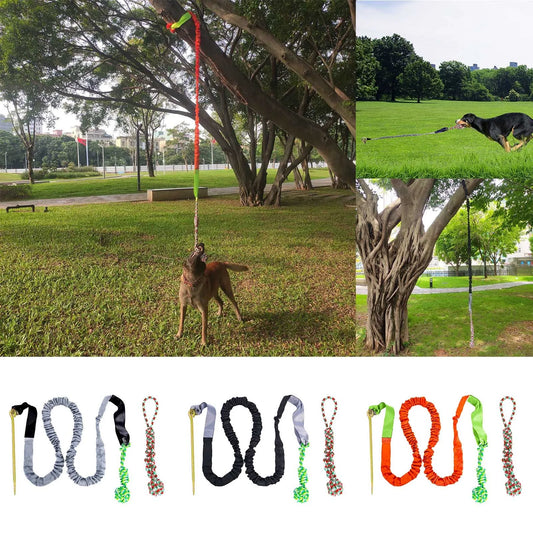 Dog Teeth Grinding Outdoor Tug Of War Knotted Rope Tree Bungee Dog Toy Outdoor Tree Stump Rope Toy Large Dog Interactive