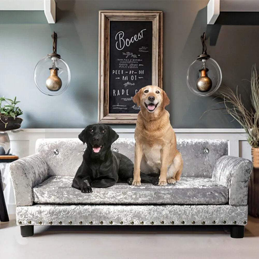 Luxury Velvet Tufted Dog Sofa Bed Large Elevated Pet Bed Upholstered Cushion Wooden Frame Raised Puppy Sofa Couch