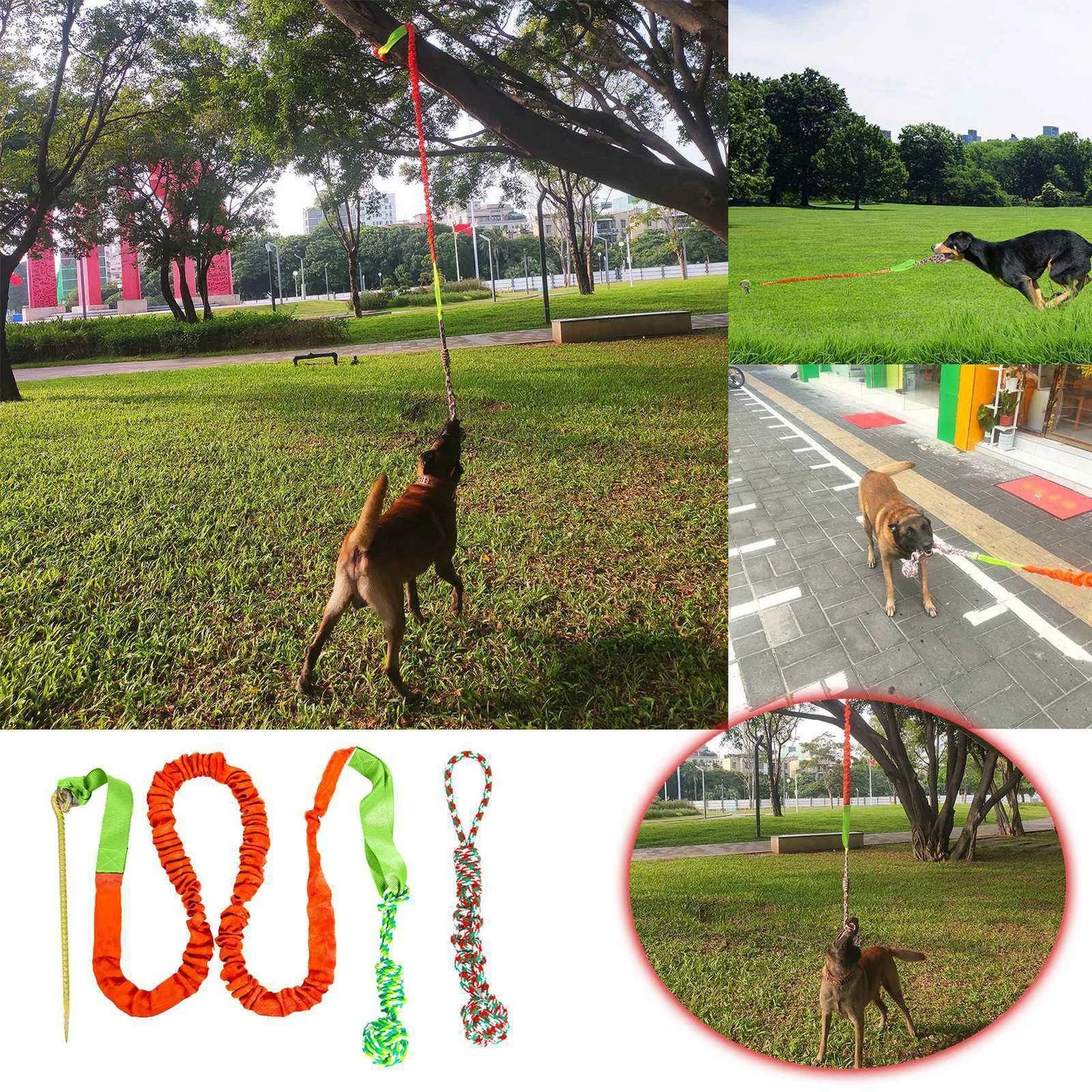 Dog Teeth Grinding Outdoor Tug Of War Knotted Rope Tree Bungee Dog Toy Outdoor Tree Stump Rope Toy Large Dog Interactive