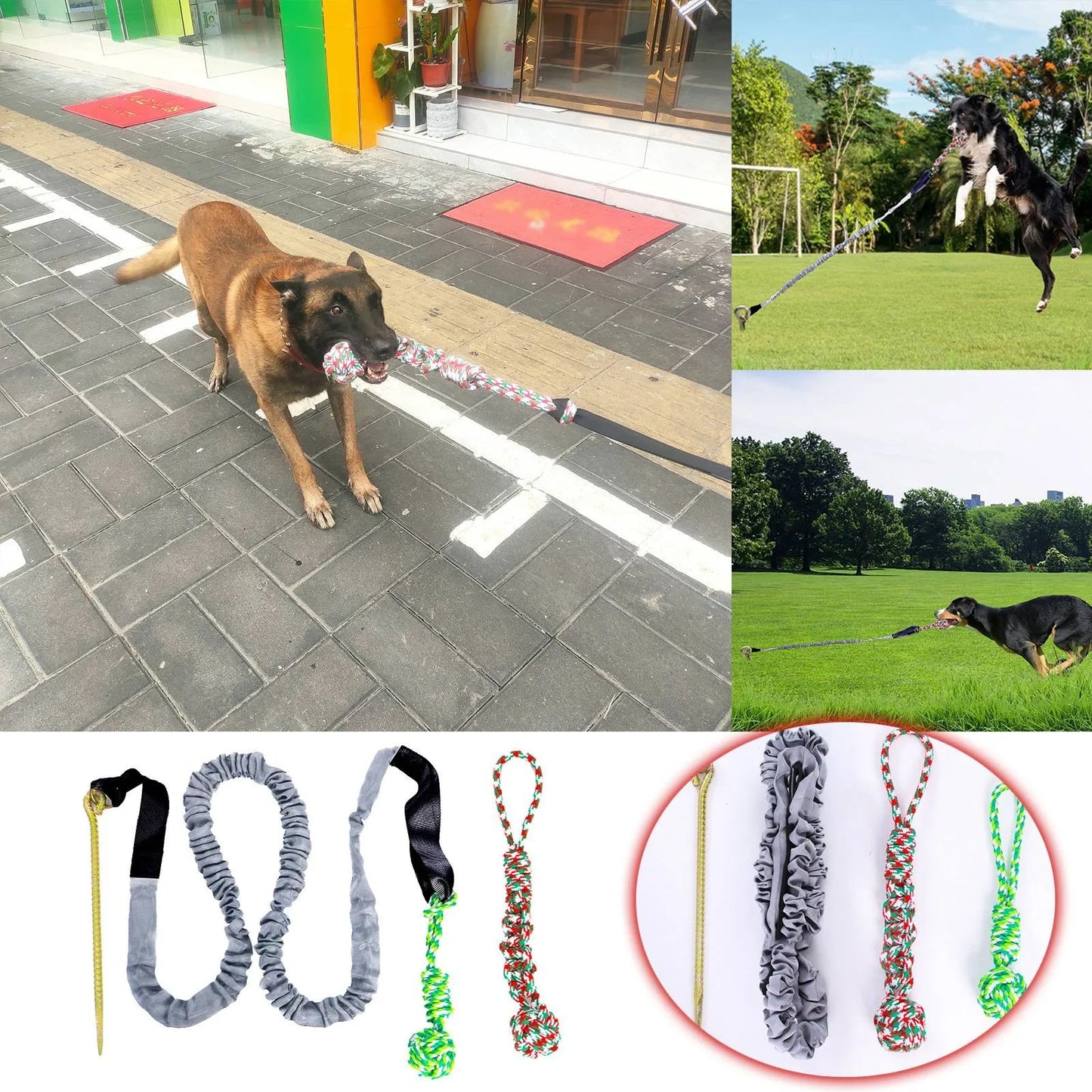 Dog Teeth Grinding Outdoor Tug Of War Knotted Rope Tree Bungee Dog Toy Outdoor Tree Stump Rope Toy Large Dog Interactive