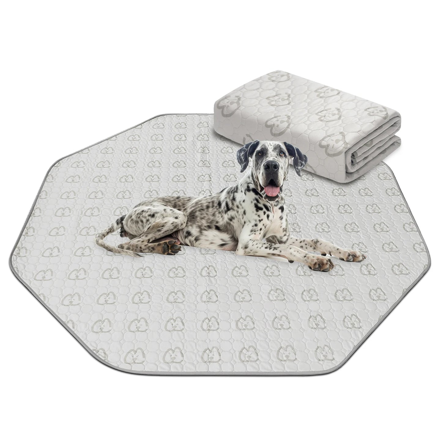 FXW Washable Pee Pads for Dogs, Puppy Pads with Super Absorbent for Crate, Traning, Sofa/Bed,