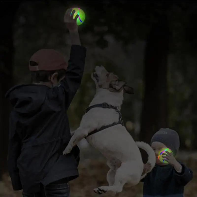 Remote Control Dog Ball Toy With Led Lights Dog Enrichment Toys Rechargeable Remote Control Led Play For Busy Dogs For Yard