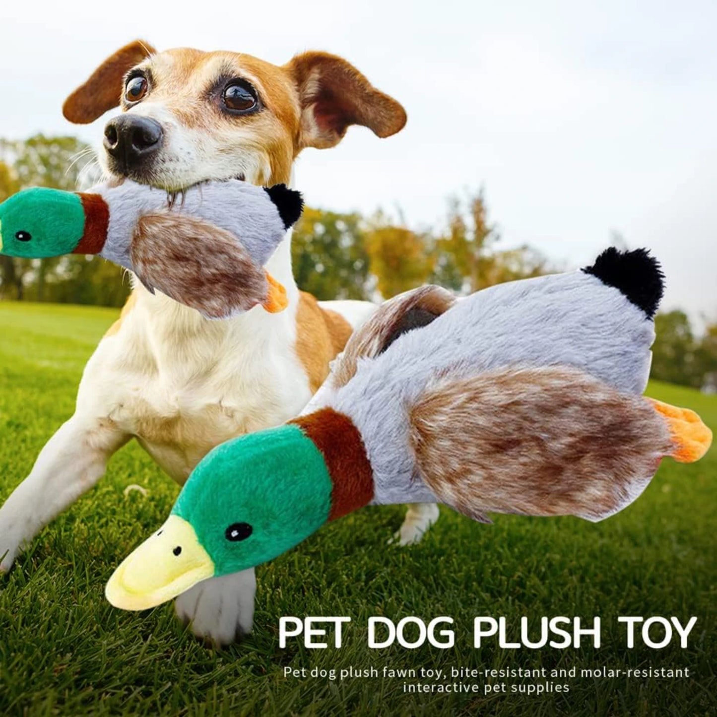 Vibrant, Durable, and Interactive Premium Dog Toy Collection for Hours of High-Quality Fun - Promotes Dental Health and Joyful P