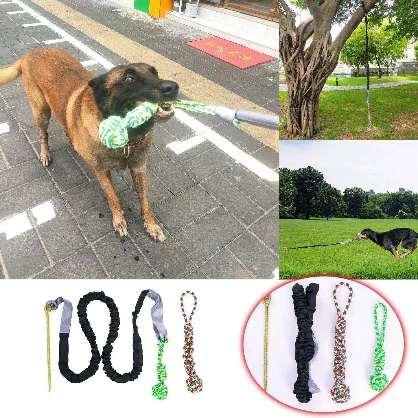 Dog Teeth Grinding Outdoor Tug Of War Knotted Rope Tree Bungee Dog Toy Outdoor Tree Stump Rope Toy Large Dog Interactive