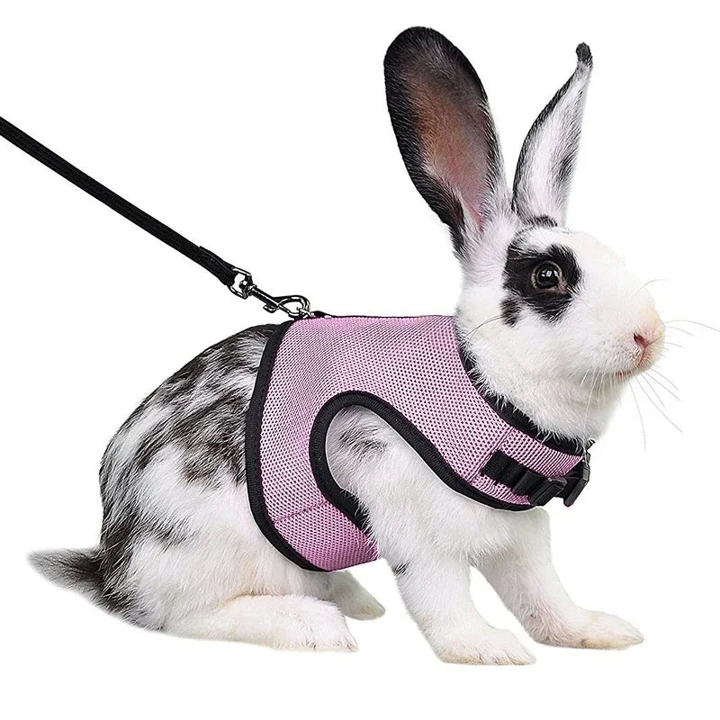 Mutil-Colors Breathable Stylish Vest Small Pet Carrier Bag Adjustable Soft Harness  And Elastic Leash Set For Rabbits