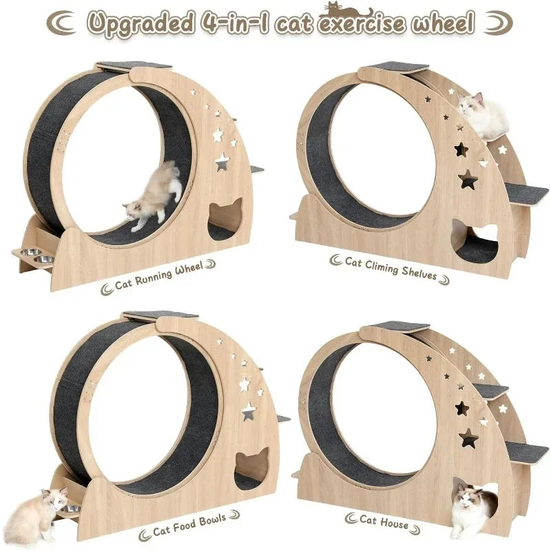 5-in-1 Cat Wheel,Cat Exercise Wheel,41.3" High Large Cat Wheels for Indoor Cats,Cat Treadmill,Cat