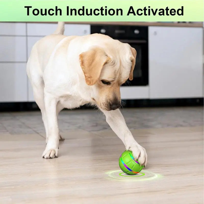 Remote Control Dog Ball Toy With Led Lights Dog Enrichment Toys Rechargeable Remote Control Led Play For Busy Dogs For Yard